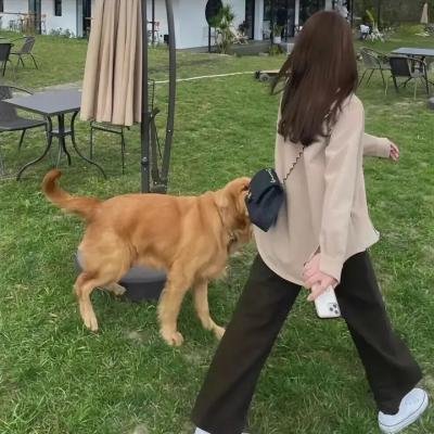 女伶们